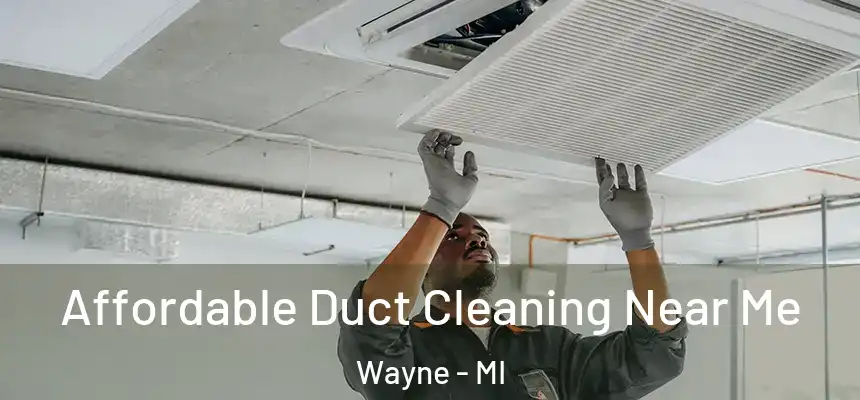  Affordable Duct Cleaning Near Me Wayne - MI