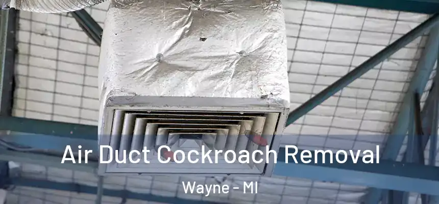  Air Duct Cockroach Removal Wayne - MI