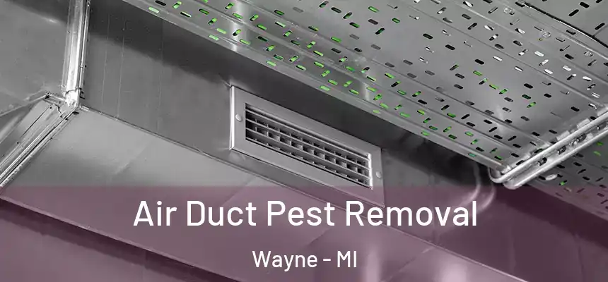  Air Duct Pest Removal Wayne - MI