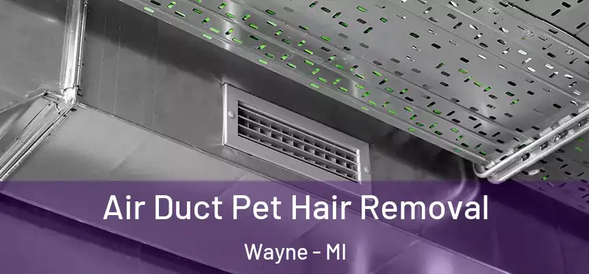  Air Duct Pet Hair Removal Wayne - MI