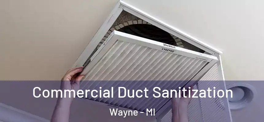  Commercial Duct Sanitization Wayne - MI