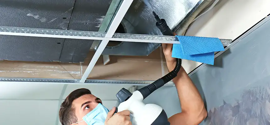 Our Air Duct Rodent Removal Services in Wayne, MI