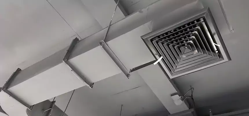 Restorative Allergy Relief Vent Cleaning – Coil, Blower & Housing Detail in Wayne