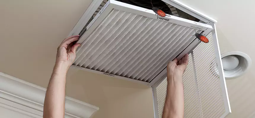 Our Insect Removal from Air Ducts Services in Wayne, MI