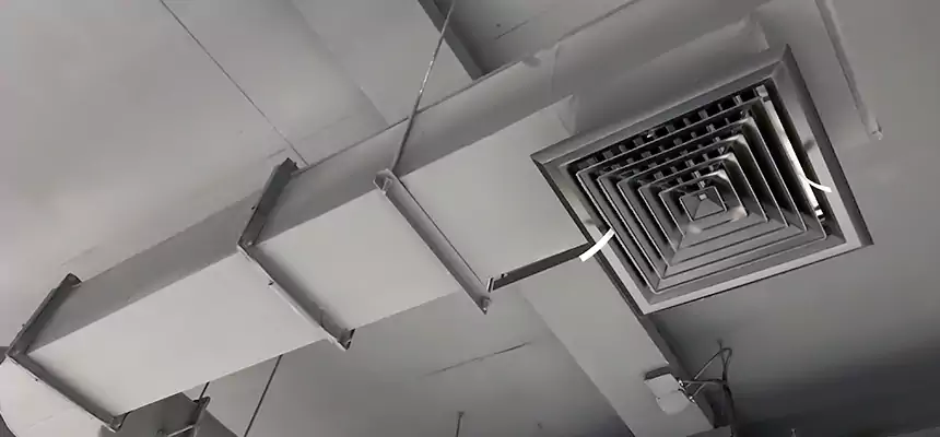 Our Pest Removal From Ducts Services in Wayne, MI