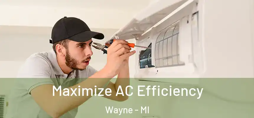  Maximize AC Efficiency Wayne - MI