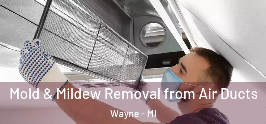  Mold & Mildew Removal from Air Ducts Wayne - MI