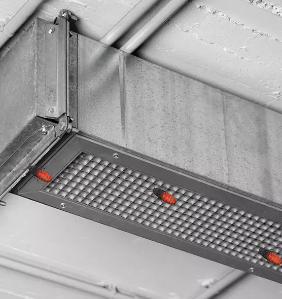 About Air Duct Cockroach Removal in Wayne, MI