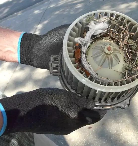 About Air Duct Mice Removal in Wayne, MI