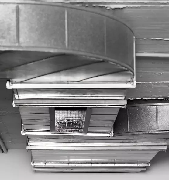 Professional Air Duct Pet Hair Removal in Wayne, MI