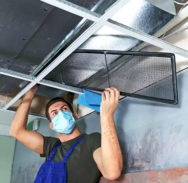 Why Homeowners Businesses Trust Us in Wayne, MI