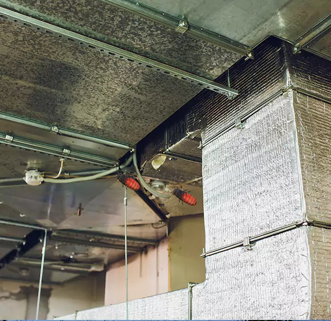 Why Homeowners & Businesses Trust Us Wayne, MI?