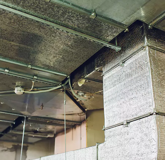 Why Homeowners & Businesses Trust Us in Wayne, MI?