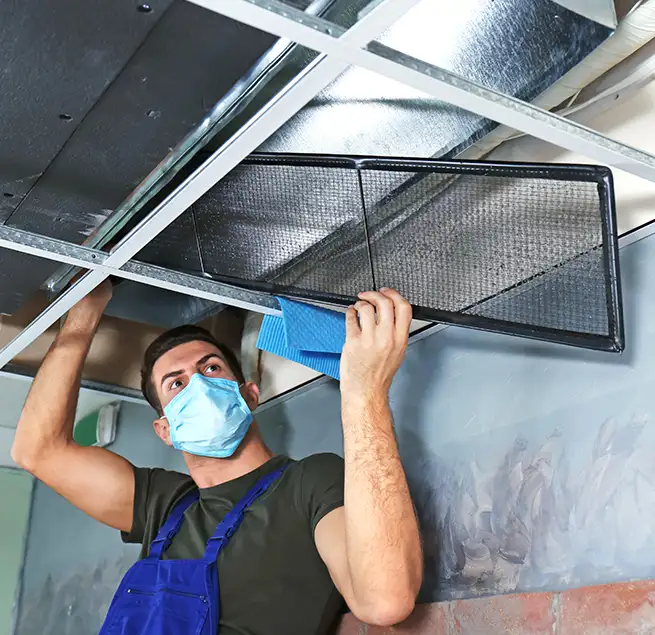 Why Homeowners & Businesses Trust Us in Wayne, MI?